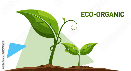 Two green plant seedlings growing in soil with organic text