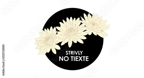 Cream Chrysanthemum Flowers Blooming on Black Circle Label