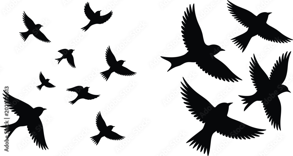Fototapeta premium Flying Swallow Bird Silhouette Collection with Black Isolated Wildlife Shapes for Nature Vector Design Projects