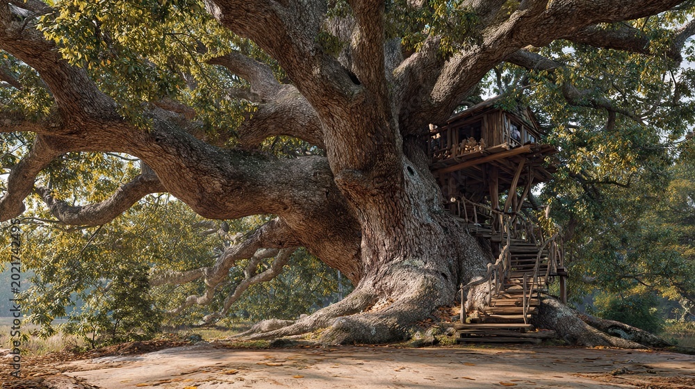 Fototapeta premium Southern Red Oak - Massive Ancient Tree with Integrated Treehouse Scenery