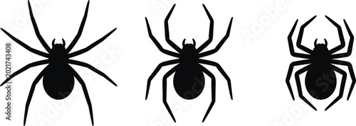 Foto Black spider silhouette collection showing different leg shapes and body structu