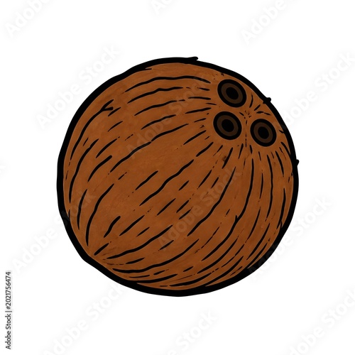 coconut on white background