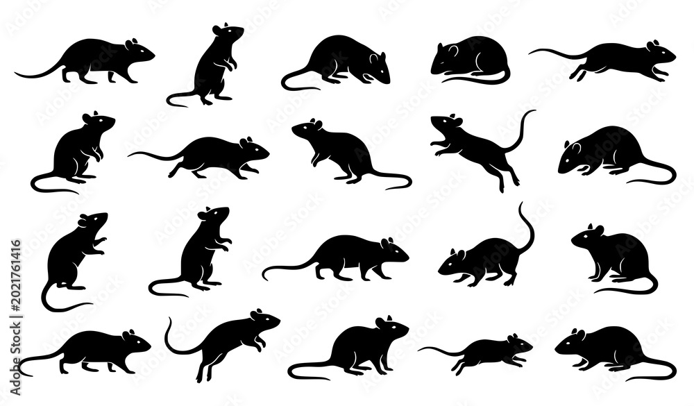 Obraz premium Minimal small rat silhouette icon collection with black rodent vectors