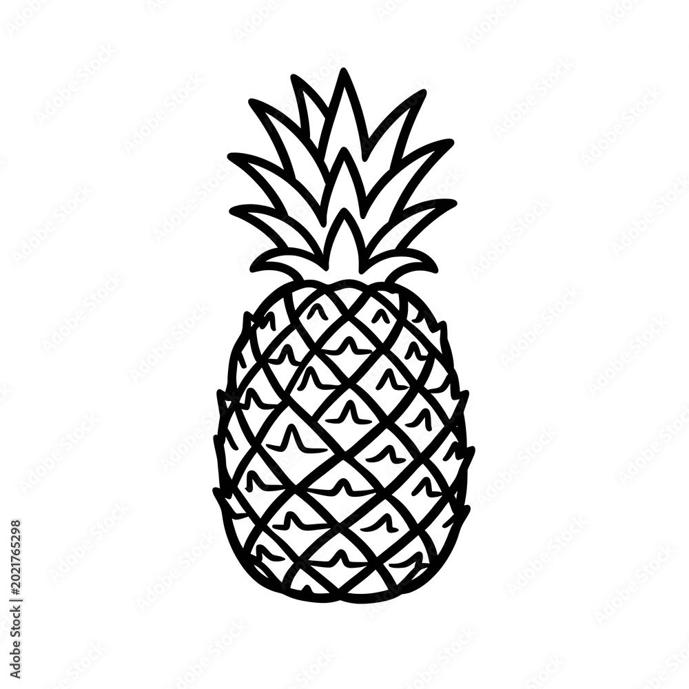 Obraz premium pineapple vector illustration