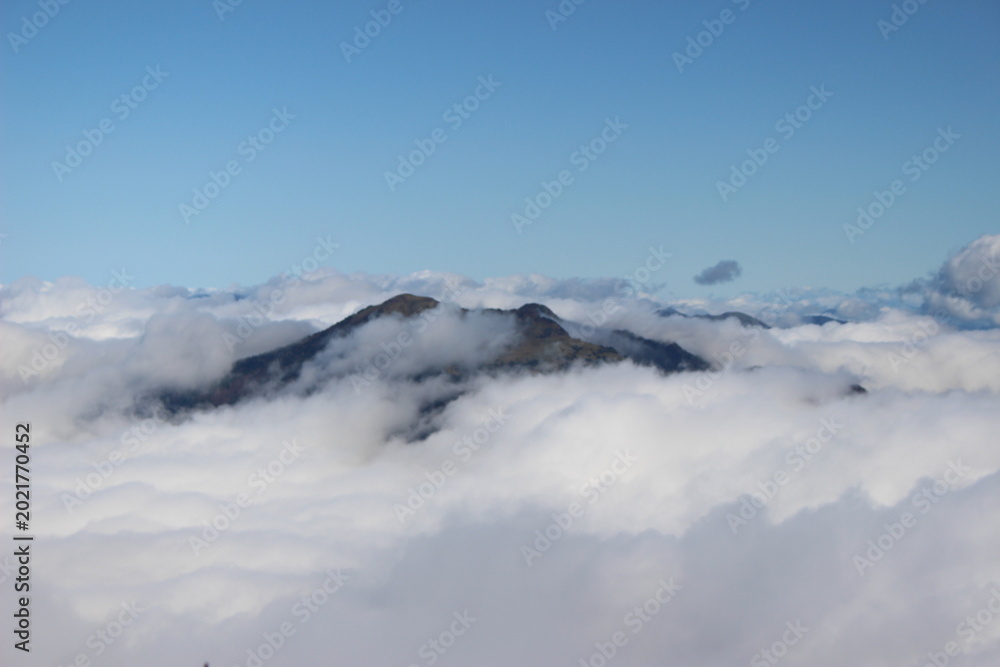 Fototapeta premium 雲海 石鎚山 瓶ヶ森 四国 愛媛県 絶景 登山 山岳風景 朝日