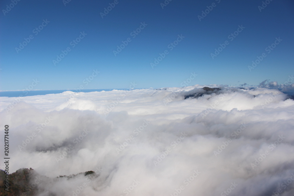 Fototapeta premium 雲海 石鎚山 瓶ヶ森 四国 愛媛県 絶景 登山 山岳風景 朝日