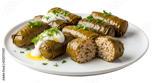 Delicious Stuffed Grape Leaves Dolmades Dish with Yogurt Sauce and Parsley