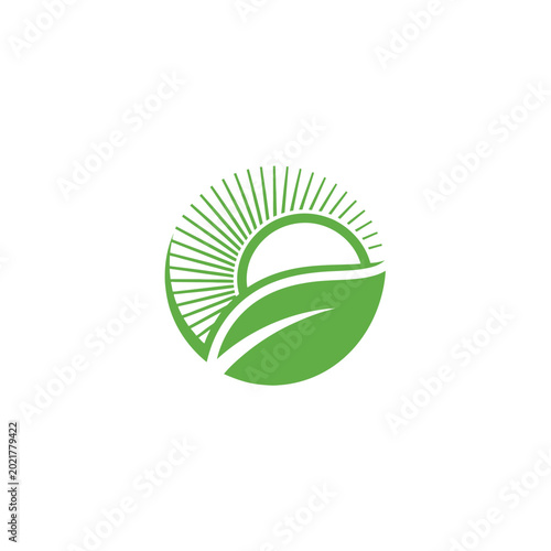 Green landscape logo with sun and rays design