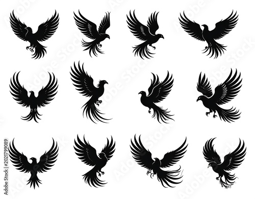 Collection of stylized black bird silhouettes with spread wings and tail feathers