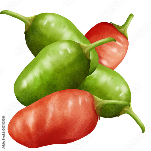 Obraz na plátně illustration of red and green chilies
