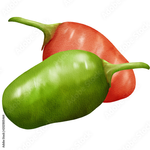 Tableau sur toile red and green chilies