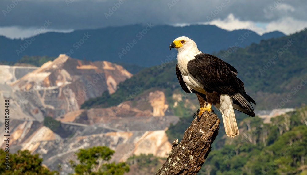 Fototapeta premium Majestic eagle perched on branch with mountain landscape background