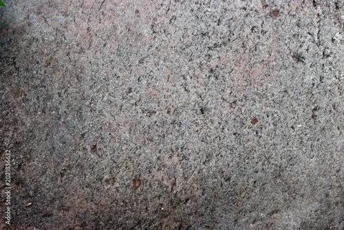 Фотография Rock and stone texture gray material background pattern