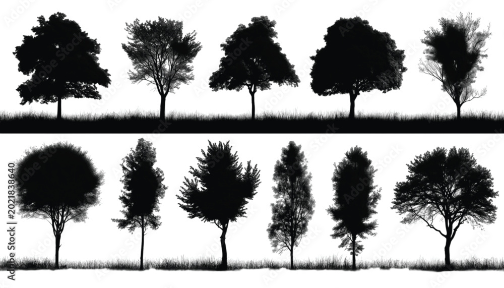 Fototapeta premium Trees represented as black silhouettes provide a comprehensive collection of botanical shapes for diverse graphic design projects requiring natural elements on a clean white background for easy.