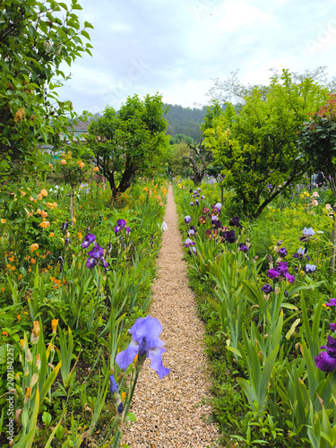 фотографія Iconic Gravel Path Through Monet's Flower Garden at Giverny with Colorful Bearde