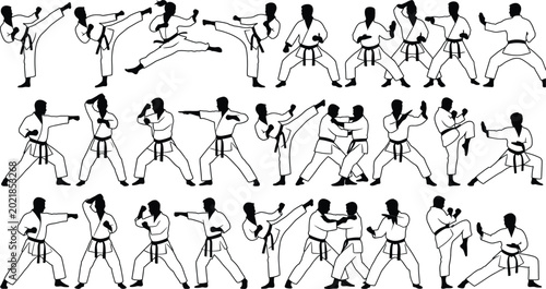 Konstfotografi Martial arts karate silhouette collection featuring combat training fighting pos