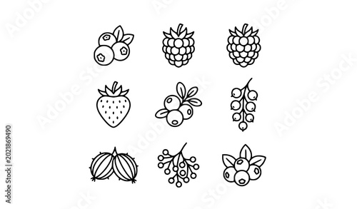 Fotografie Minimalist Berry Outline Icon Collection with Blueberry Raspberry and Blackberry