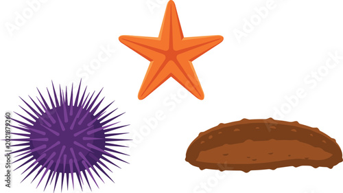 Bild auf Leinwand Ocean Sea Creatures Vector Set Featuring Starfish, Purple Sea Urchin, and Brown