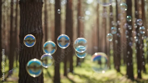 Many colorful soap bubbles floating through a sunlit forest during the day