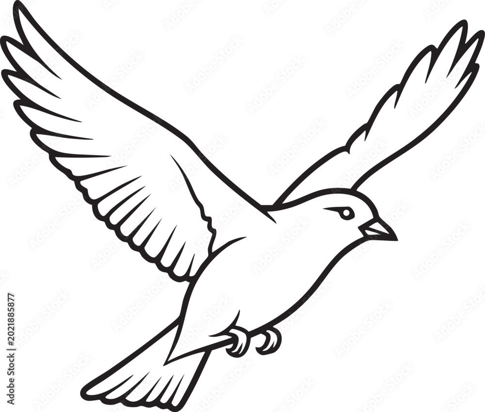 Fototapeta premium Line art illustration of a bird in flight with wings spread wide black and white creature illustration graceful movement wildlife