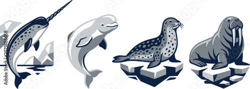 Foto Arctic Ocean Animal Set with Narwhal, Beluga Whale, Spotted Seal, and Walrus on