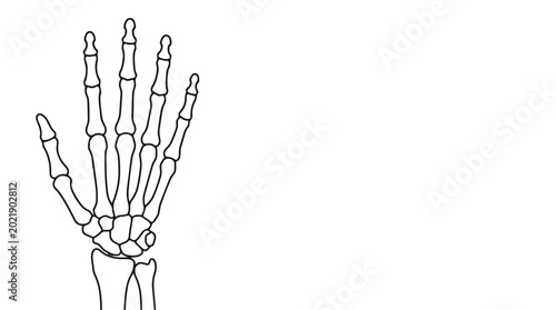 Canvastavla Human skeleton hand vector illustration with detailed bone anatomy outline, medical line art drawing of wrist and fingers isolated on light background for education use