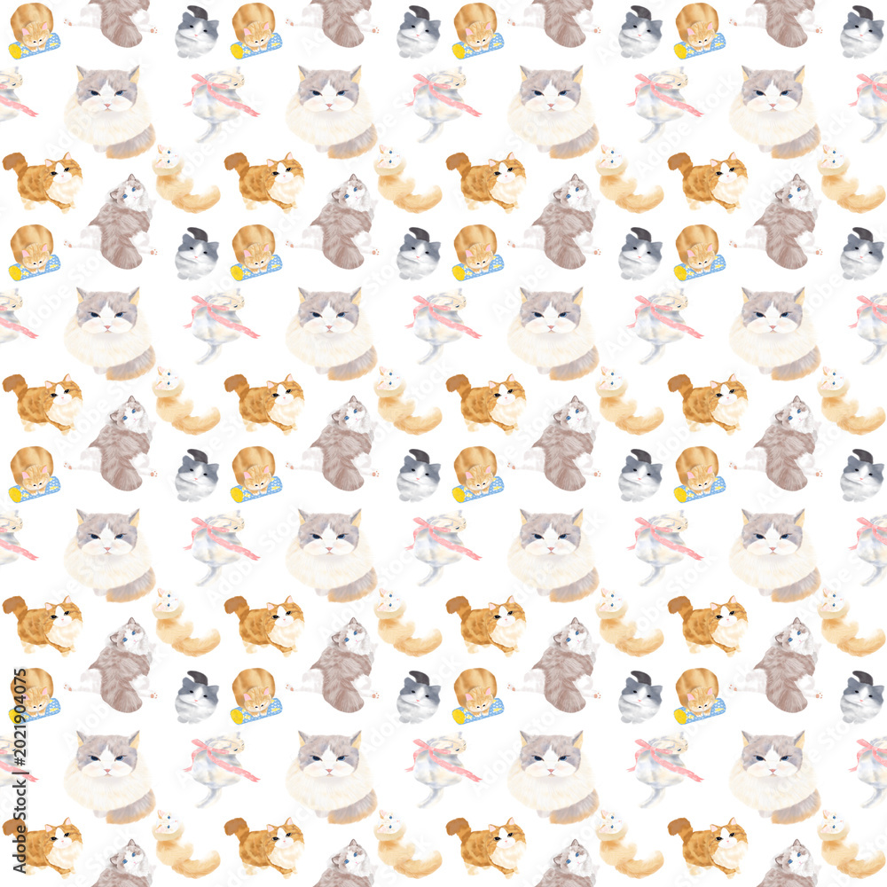 Fototapeta premium Transparent Bg Pattern Cat
