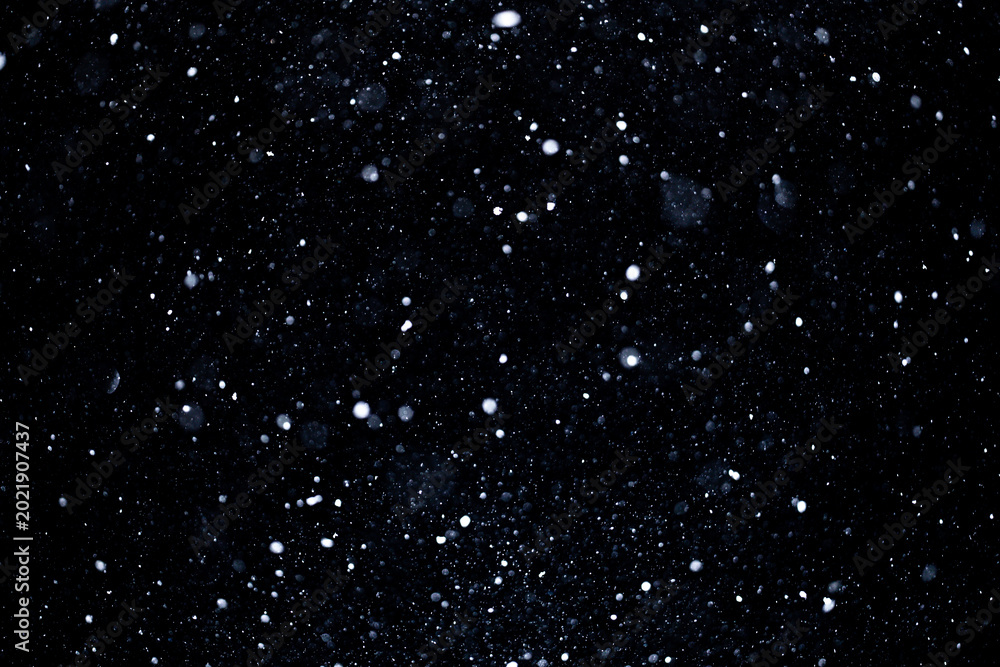 Fototapeta premium Snow overlay effect with drifting snowflakes. Heavy snowfall winter background. Snowstorm particles creating motion. Snowflakes floating in cold wind. Snow texture overlay with frosty design.