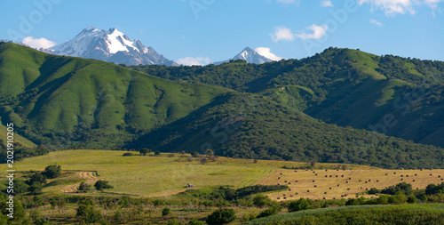 Fotografie A field with bales of mown hay against a backdrop of mountains in the Almaty region of southeastern Kazakhstan