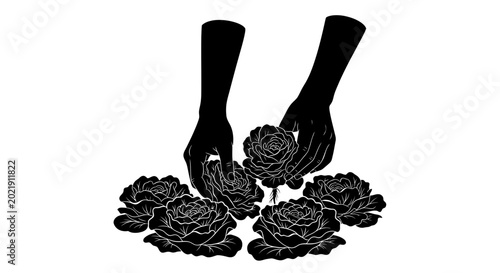 Hands holding and arranging blooming roses silhouette