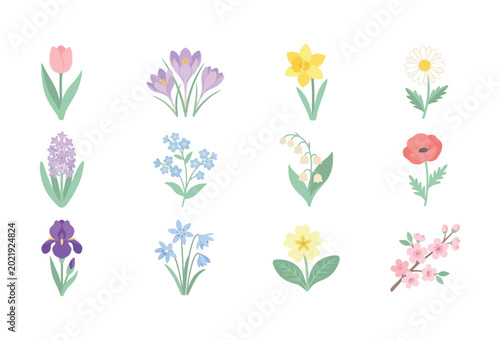 Colorful collection of diverse spring flowers including tulips daffodils daisies and poppies displayed as a professional digital vector illustration set for creative garden design