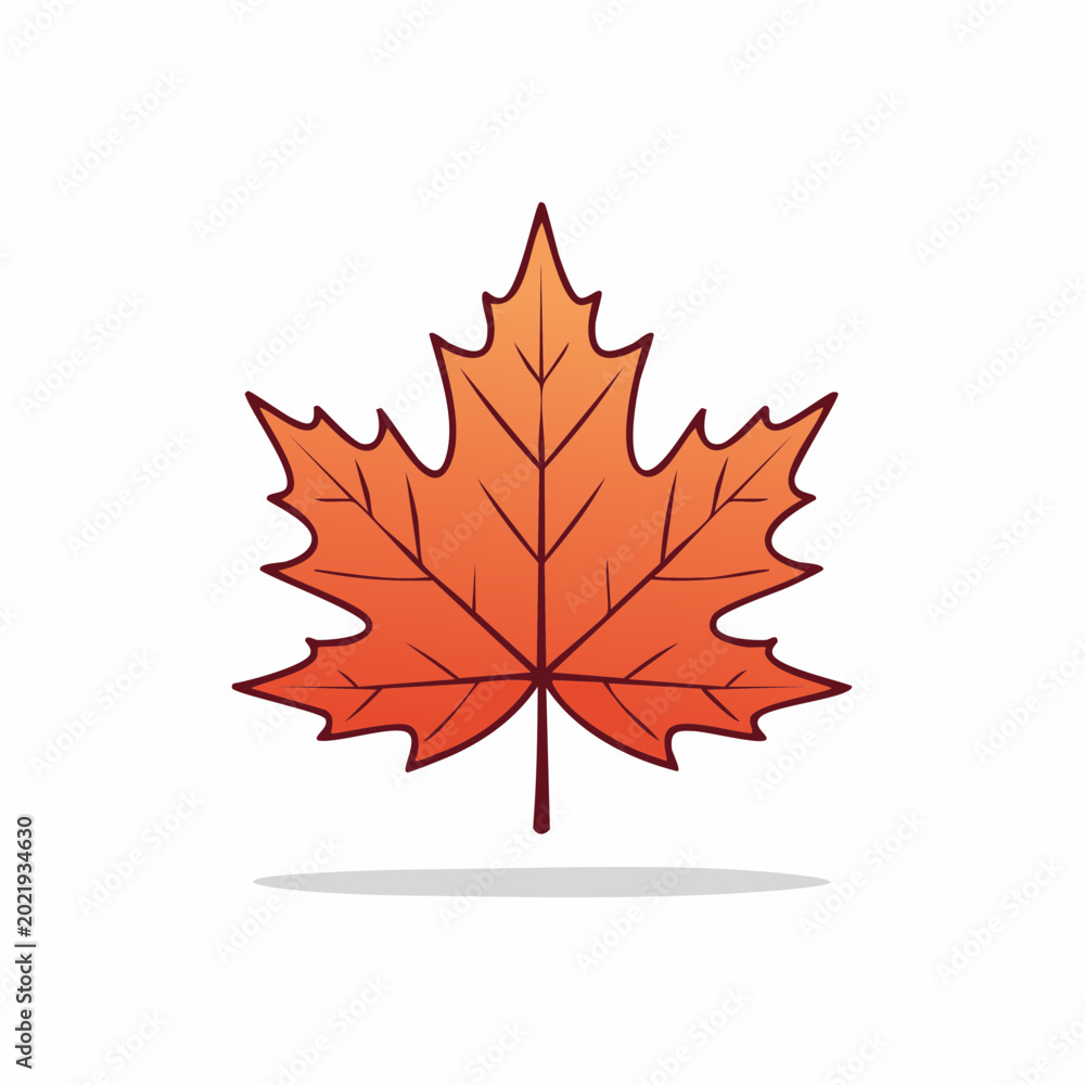 Fototapeta premium Autumn Maple Leaf Illustration