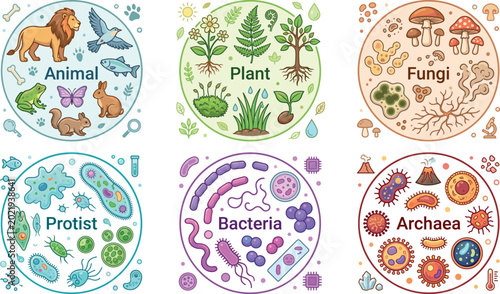 Photos Six Kingdoms Biology Classification Diagram with Animal Plant Fungi Protist Bact