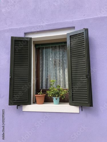 Schilderij op canvas Cozy window sill with potted plants against a lavender colored house