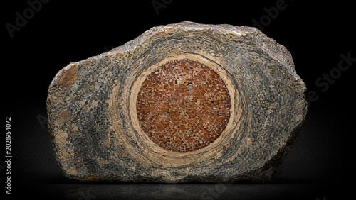 Cross-section of rough stone with a distinct round concretion embedded.