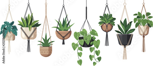 Obraz na płótnie Collection of hanging plants in macrame holders vector illustration
