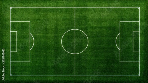 Top view of a professional green grass soccer field