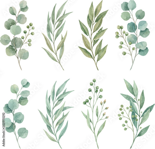 watercolor eucalyptus leaf set, minimalist green foliage collection, botanical watercolor branch bundle, png floral , isolated floral
