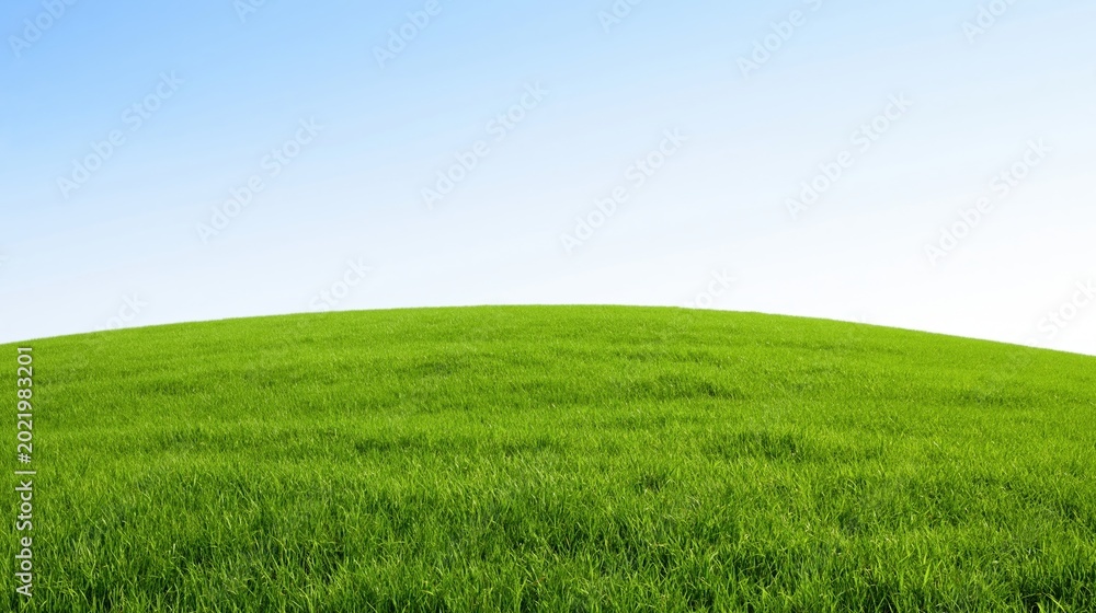 Fototapeta premium Vast Rolling Green Meadow Under a Clear Blue Sky - Perfect for Backgrounds and Nature Concepts