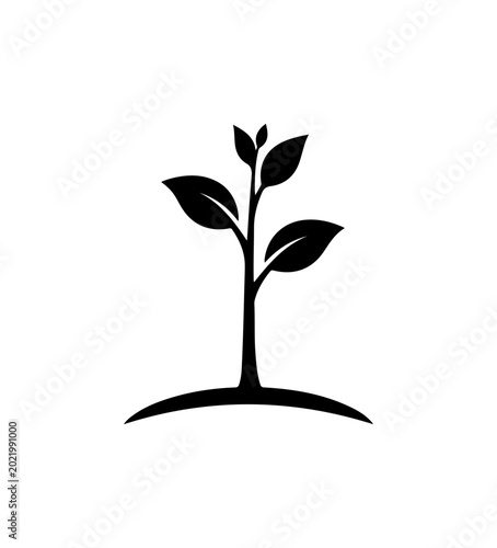 Sapling Sprouting from Ground Silhouette Icon