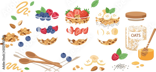 Healthy breakfast granola parfait vector illustration set with layer yogurt glass cups oats berries honey dipper and chia seeds,