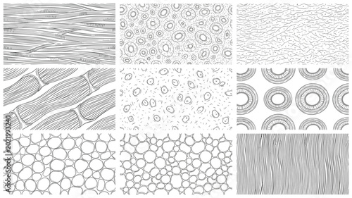 Fotografía Biological cell tissue texture vector set with muscle fiber wood grain cell memb