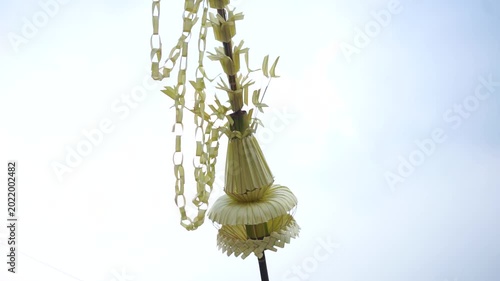 Yellow Palm Leaves Decoration Swaying in the Wind