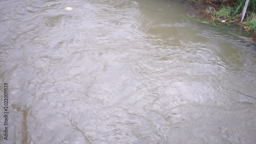 River Water Pollution with Floating Trash