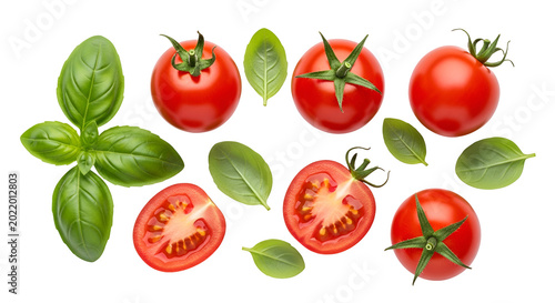 Fresh Red Tomatoes and Green Basil Leaves Isolated Transparent Background