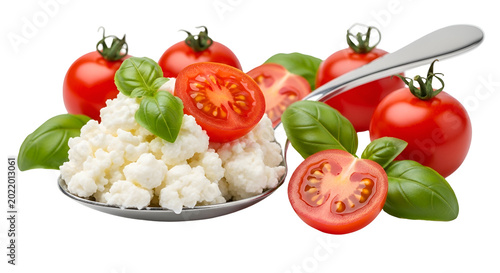 Fresh Ricotta Cheese With Cherry Tomatoes and Basil Isolated