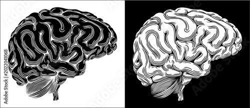 A human brain in a vintage ...