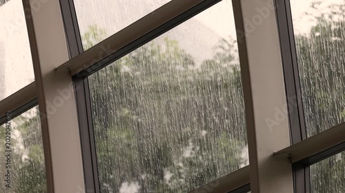  Raindrops slide down a glass window. 
