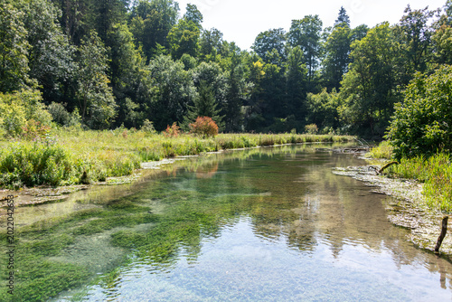 Fotografie Crystal clear river