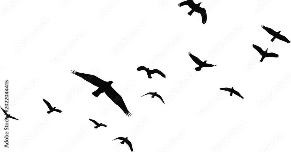 Obraz premium Black Birds Flying in Flock Isolated on White Background